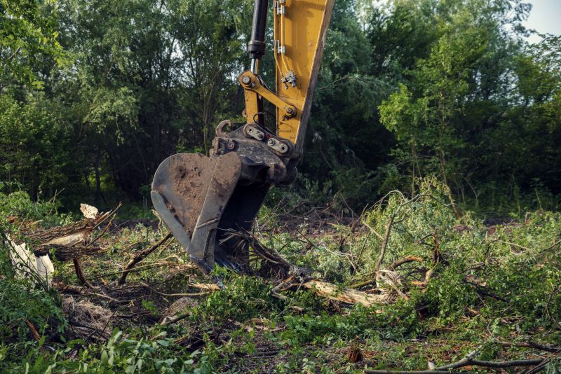 Increase Your Land Clearing Business with an AI Driven, Targeted Website