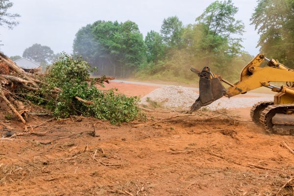 Ground Clearing in Mason