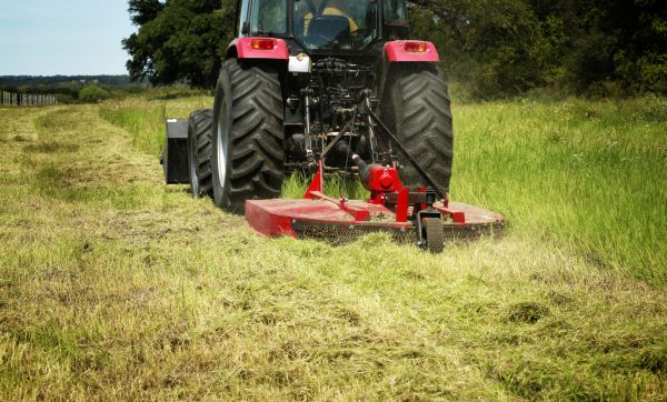 Brush Clearing Service in Mason