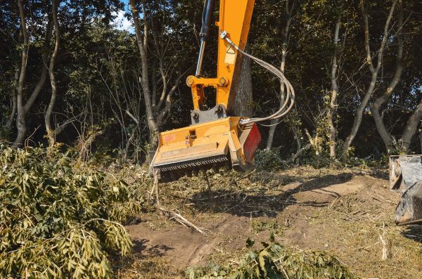 Brush Removal Service in Mason