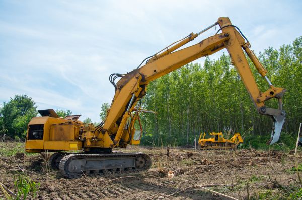 Cost of Farm Clearing in Mason