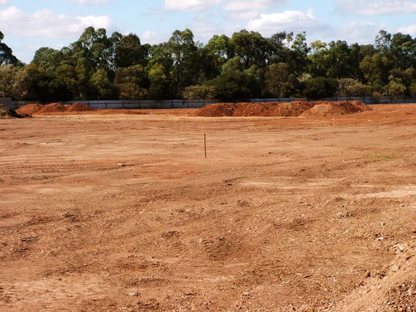 Cost of Field Clearing in Mason