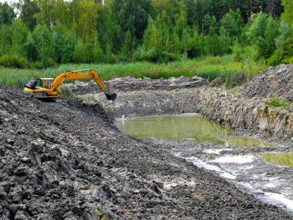 Cost of Lake Lot Clearing in Mason