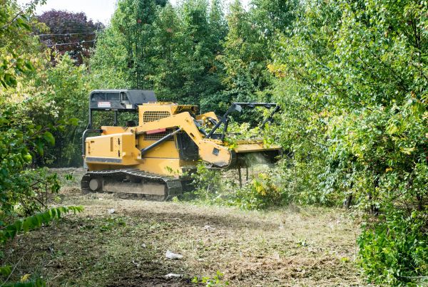 Cost of Pathway Clearing in Mason