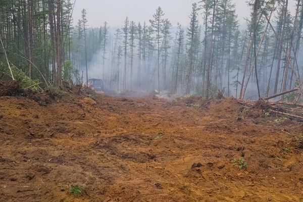 Cost of Hill Clearing in Mason