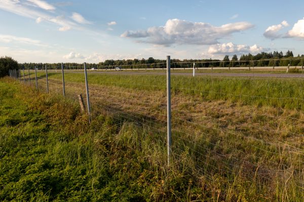 Cost of Property Line Clearing in Mason