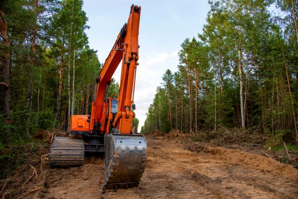 Cost of Backhoe Land Clearing in Mason