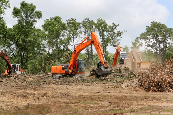 Cost of Commercial Lot Clearing in Mason