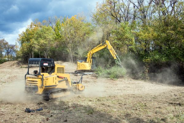 Cost of Terrain Clearing in Mason