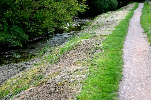 Cost of Trail Cutting in Mason