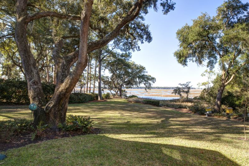 Property Line Clearing