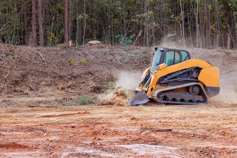 What’s Involved In Professional Land Clearing?